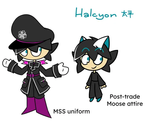 halcyon ref halcyon ref