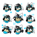 sparky expressions