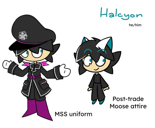 Halcyon reference sheet