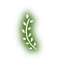 thyme soul