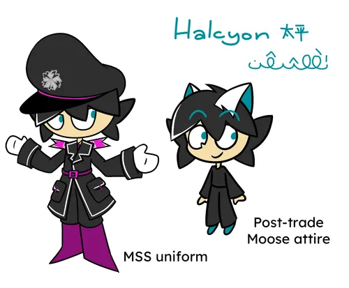 Halcyon reference sheet